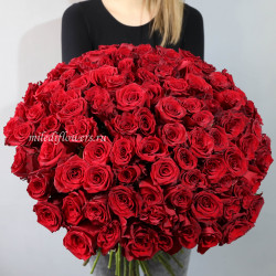Букет 101 красная роза Эксплорер (Эквадор 60 см)
