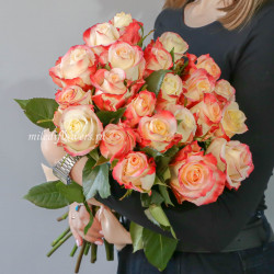 Букет 25 роз Кабаре (Эквадор 60 см)
