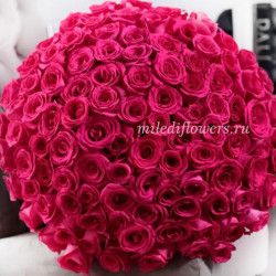 Букет 101 розовая роза Пинк Флойд (Эквадор 40 см)