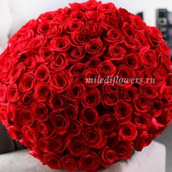 Букет 101 красная роза Фридом (Эквадор 40 см)