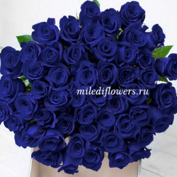 Букет 51 синяя роза Тинтед Блю (Эквадор 50 см)