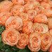 Букет 25 роз Кахала (Эквадор 40 см)