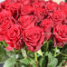 Хит! Букет 51 красная роза Эксплорер (Эквадор 50 см)