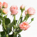Роза кустовая Bridal Bubbles