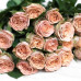 Роза классическая Cappucino