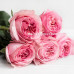 Роза пионовидная Pink Expression