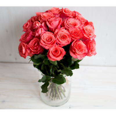 Букет 25 роз Амстердам (Эквадор 40 см)
