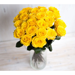 Букет 25 желтых роз Кантри Сан (Эквадор 40 см)